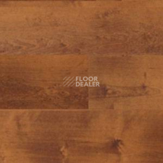 Линолеум Polyflor Expona Wood 6106 фото 1 | FLOORDEALER