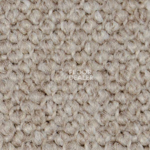 Ковролин Carpet Concept Eco Cut 40642 фото 1 | FLOORDEALER