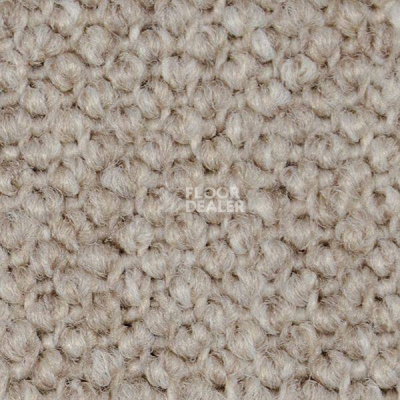 Ковролин Carpet Concept Eco Cut 40642 фото 1 | FLOORDEALER