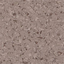 Линолеум Vertigo Victoria Plus V10009 Truffle  | FLOORDEALER