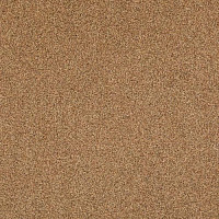 Ковровая плитка Betap Transmit 69 фото 1 | FLOORDEALER