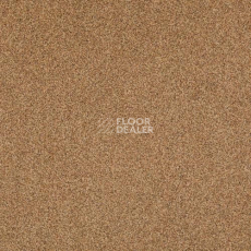 Ковровая плитка Betap Transmit 69 фото 1 | FLOORDEALER