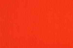 Ковролин Tapibel Secura 48100 фото  | FLOORDEALER