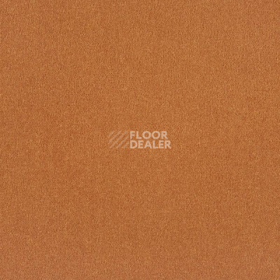 Ковровая плитка Interface Palette 2000 Crush фото 1 | FLOORDEALER