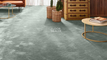 Vorwerk Exclusive 1060 Safira 4g67 фото 2 | FLOORDEALER