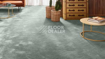 Vorwerk Exclusive 1060 Safira 4g67 фото 2 | FLOORDEALER