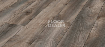 Ламинат Kronotex Mammut Plus d4792 Дуб Серый Макро фото 1 | FLOORDEALER