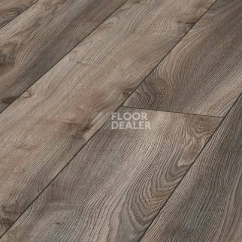 Ламинат Kronotex Mammut Plus d4792 Дуб Серый Макро фото 1 | FLOORDEALER