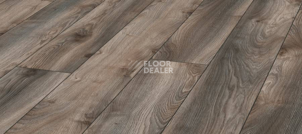 Ламинат Kronotex Mammut Plus d4792 Дуб Серый Макро фото 1 | FLOORDEALER