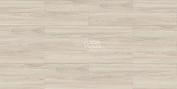 Evofloor Optima Click 4.2мм Дуб Айвори фото 3 | FLOORDEALER