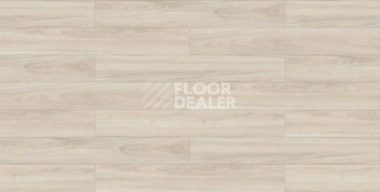 Evofloor Optima Click 4.2мм Дуб Айвори фото 3 | FLOORDEALER