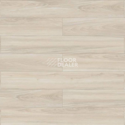 Evofloor Optima Click 4.2мм Дуб Айвори фото 3 | FLOORDEALER
