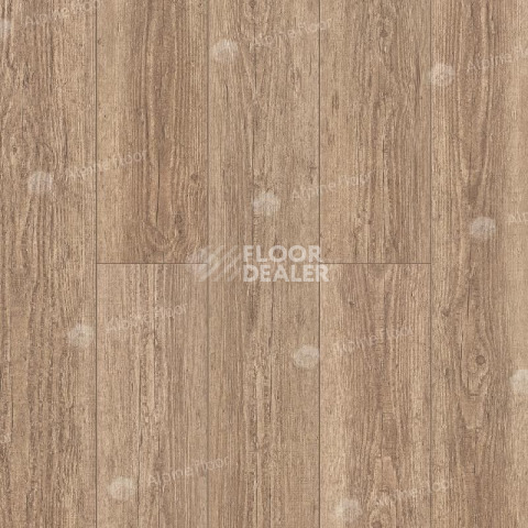 Кварцвиниловые полы Alpine Floor Classic Клен ЕСО 140-8 фото 1 | FLOORDEALER