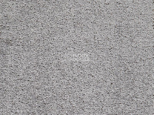 Ковролин Balta TRINITY Trinity 0910 фото 1 | FLOORDEALER