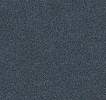 Interface Polichrome 7553 Steel фото 1 | FLOORDEALER