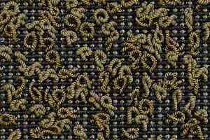 Ковролин Carpet Concept Eco Iqu S 40638 фото  | FLOORDEALER