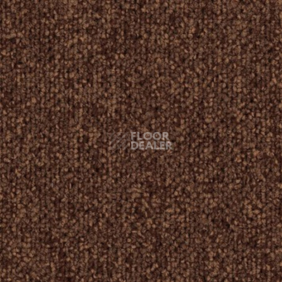 Ковровая плитка Tecsom Camera 00048 фото 1 | FLOORDEALER