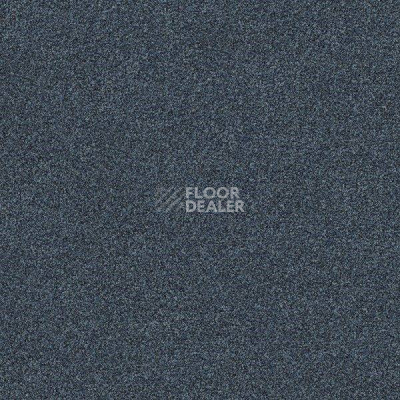 Ковровая плитка Interface Polichrome 7553 Steel фото 1 | FLOORDEALER