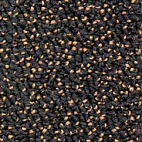 Dura Level Two 870 фото 1 | FLOORDEALER