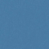 Линолеум Graboplast Stamina 6170_00_273 фото 1 | FLOORDEALER