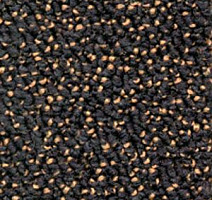 Ковролин Dura Level Two 870 фото 1 | FLOORDEALER