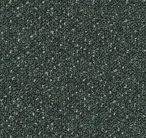 Ковровая плитка Desso Capella Desso Capella 9522 фото 1 | FLOORDEALER