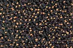 Ковролин Dura Level Two 870 фото  | FLOORDEALER