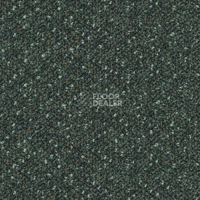 Ковровая плитка Desso Capella Desso Capella 9522 фото 1 | FLOORDEALER