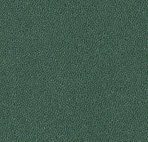 Ковровая плитка Westbond Ibond зеленая гамма 9228 фото 1 | FLOORDEALER