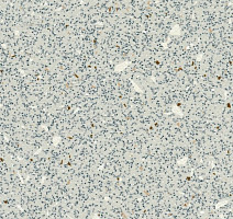 Линолеум Grabo EcoSafe 1017_664_20_279 фото 1 | FLOORDEALER