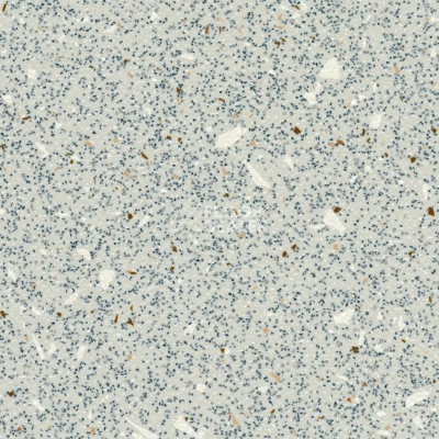 Линолеум Grabo EcoSafe 1017_664_20_279 фото 1 | FLOORDEALER