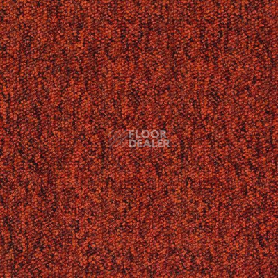 Ковровая плитка Desso Tempra 5128 фото 1 | FLOORDEALER