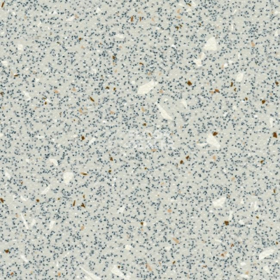 Линолеум Grabo EcoSafe 1017_664_20_279 фото 1 | FLOORDEALER