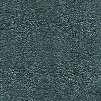 Ковролин AW Invictus Scorpius 72 фото 1 | FLOORDEALER