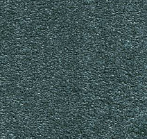 Ковролин AW Invictus Scorpius 72 фото 1 | FLOORDEALER