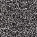 Ковролин Balta Splendid Saxony Splendid Saxony 0995  | FLOORDEALER