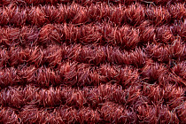 Art Intervention Коллекция Creative Spark Creative Spark 310 фото 4 | FLOORDEALER