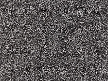 Balta Splendid Saxony Splendid Saxony 0995 фото 1 | FLOORDEALER