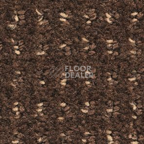 Ковролин Balsan Baccarat Baccarat 771 фото 1 | FLOORDEALER