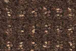 Ковролин Balsan Baccarat Baccarat 771 фото  | FLOORDEALER