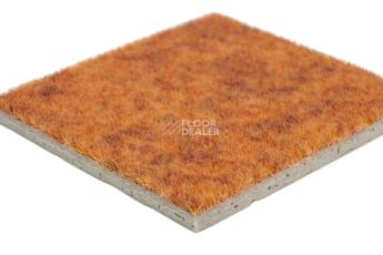 Flotex Colour s 290005 Calgary Melon фото 4 | FLOORDEALER