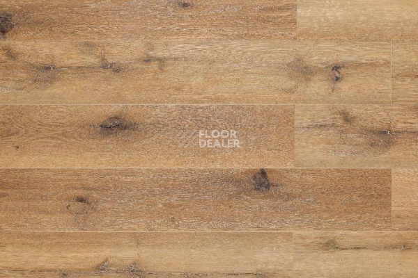 Кварцвиниловые полы Aquafloor Space AF4038SPC фото 1 | FLOORDEALER