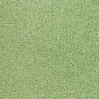 Ковролин Radici Montecarlo 79 фото 1 | FLOORDEALER