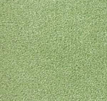 Ковролин Radici Montecarlo 79 фото 1 | FLOORDEALER