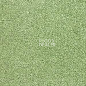 Ковролин Radici Montecarlo 79 фото 1 | FLOORDEALER