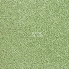 Ковролин Radici Montecarlo 79 фото 1 | FLOORDEALER