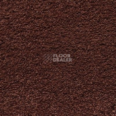 Ковролин Shaw Cashmere IV 603 фото 1 | FLOORDEALER