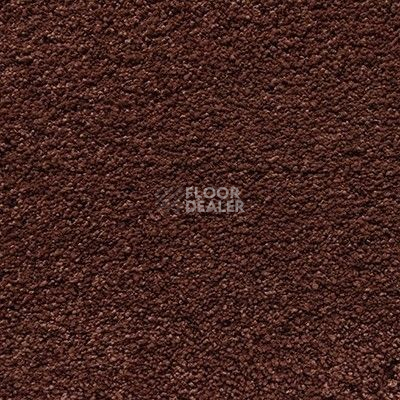 Ковролин Shaw Cashmere IV 603 фото 1 | FLOORDEALER