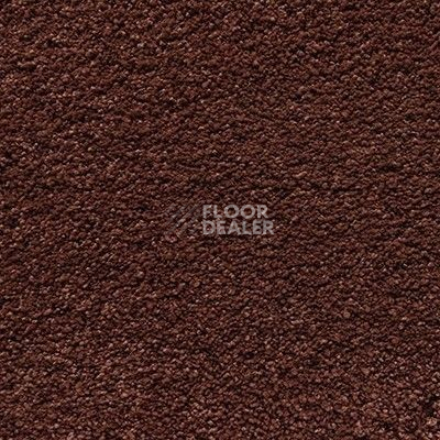 Ковролин Shaw Cashmere IV 603 фото 1 | FLOORDEALER