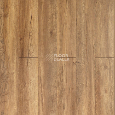 Ламинат Alix Floor Regista 8мм D1873 Дуб Терра фото 1 | FLOORDEALER